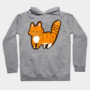 Happy gingey kitty Hoodie